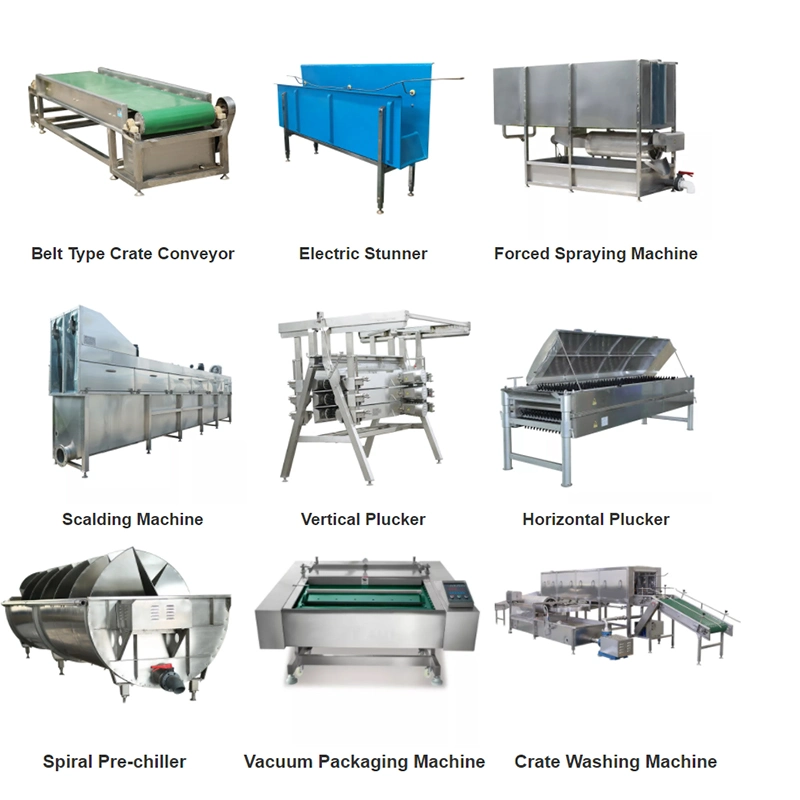 Automatic Mini Chicken Scalding Plucker Machine Poultry Slaughter Abattoir Equipment Price for Livestock Abattoir for Slaughterhouse Poultry Abattoir Processing