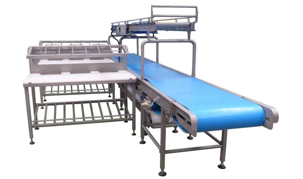 Good Price and Quality Sheep Slaughter Line Meat Processing Equipment