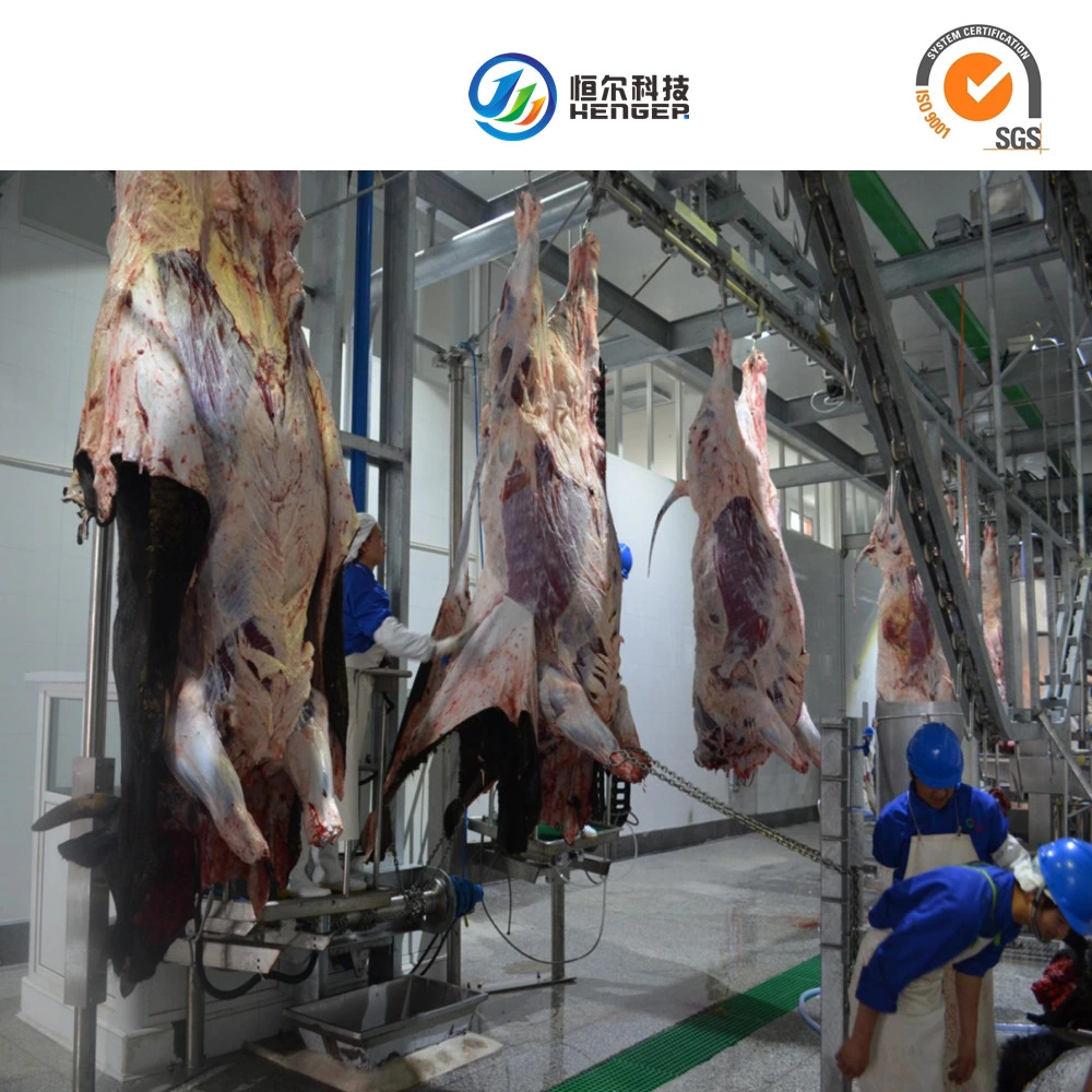 Halal Slaughter Equipment of Pigs Cattle Sheep and Poultry