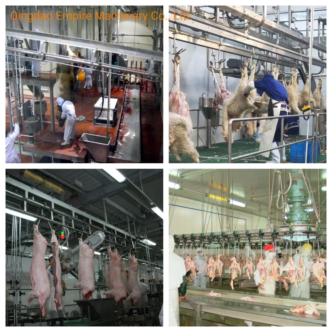 Pig Stunning Machine Abattoir Equipment for Slaughterhouse Livestock Slaughtering Halal Killing Line