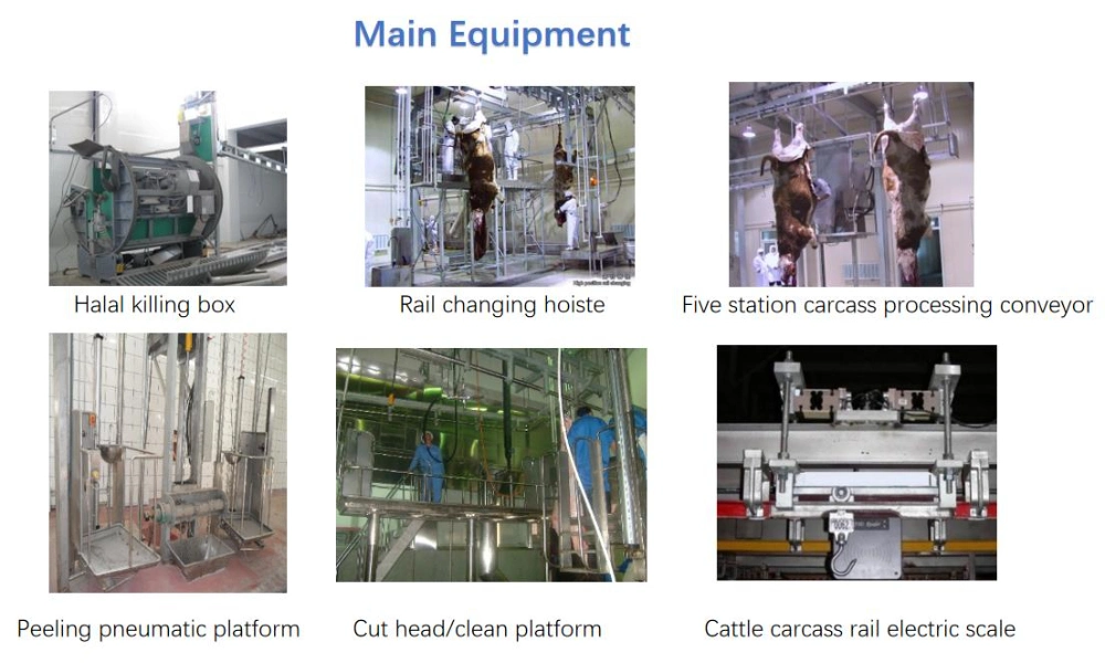 Halal Slaughter Equipment of Pigs Cattle Sheep and Poultry