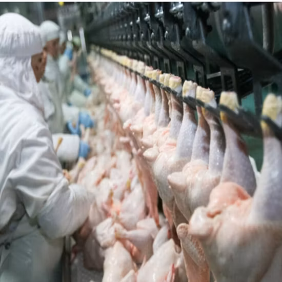 Высококачественная линия для убоя птицы и курицы, оборудование для убоя, оборудование для бойни