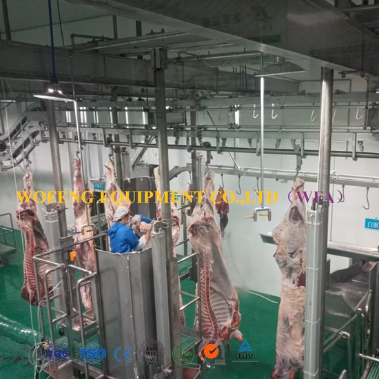 Машина для переработки говядины, оборудование для убоя крупного рогатого скота, коров, овец