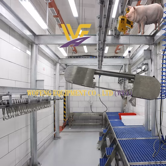 Линия убоя крупного рогатого скота, овец, свиней, свиней, машина для убоя, оборудование