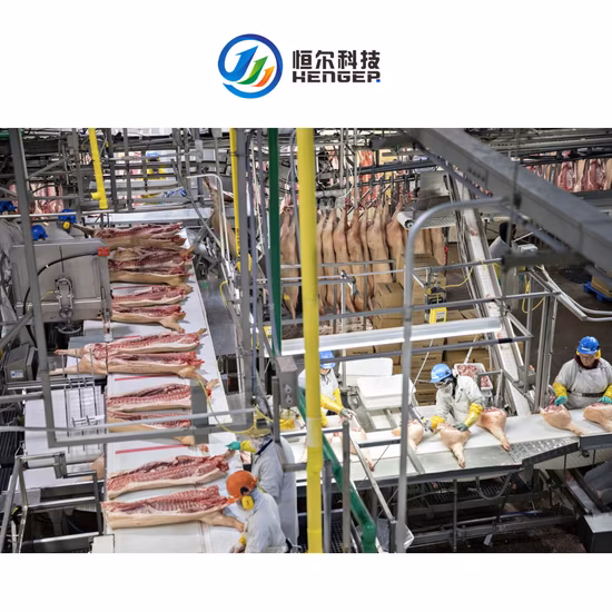 Оборудование для халяльного убоя свиней, крупного рогатого скота, овец и птицы