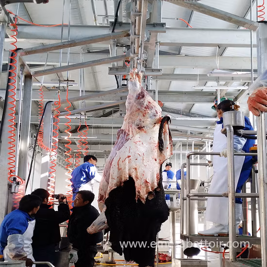 Qh300h Электрическая убойная мясорубка, слайсер, линия резки, ферма, птицеводческая пила, курица, рыба, крупный рогатый скот, свинья, убойная машина, оборудование для скотобойни